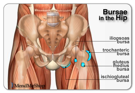 Bursae in the Hip and Bursa Pain