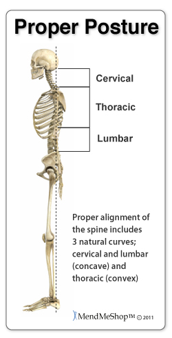 Proper posture prevent excess stress on the subacromial bursa.